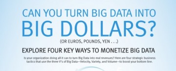 Can You Turn Big Data Into Big Dollars?