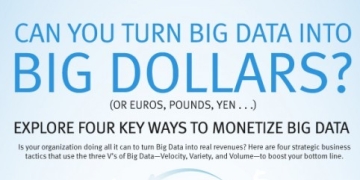 Can You Turn Big Data into Big Dollars?