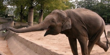 Concurrent Secure  Million for Making Big Data Easier