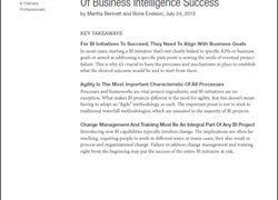Best Practices: Maximize Your Chances of BI Success: Asset