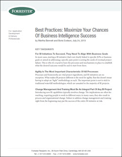 Best Practices: Maximize Your Chances Of Bi Success: Asset