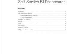 Ziff Davis: Top Five Considerations for Self-Service BI Dashboards: Asset
