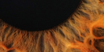 EyeVerify: Using Eyeball Selfies to Replace Passwords