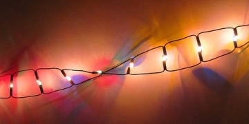 Google X Project Attempts to Understand the Human Body Through Data