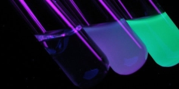 New Research Initiative by IBM Tracking Food Poising to its Source