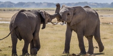 Hortonworks vs. Cloudera- The Fight for Hadoop