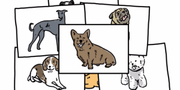 Microsoft Unveils Project Adam, Classifies Images 50 Times Better than Competitors