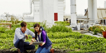 Microsoft and Amazon Fighting Climate Change with Open Data and Cloud Computing