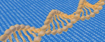 Big Data Human Genome