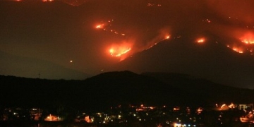 Sensors on Trees May Be the Answer to California’s Deadly Wildfire Problem