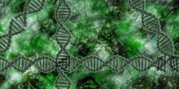 Lead Man at Google Translate Lured Away by Geneticist Venter to Help Translate Human Genomes