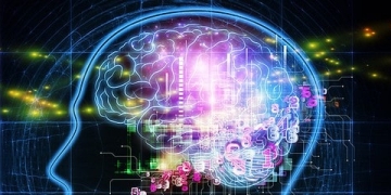 IBM Researchers Build Microchip the Size of a Postage Stamp that Mimics Human Brain