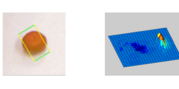 Cornell’s Robo Brain Educates Robots by Tapping the Internet for Information
