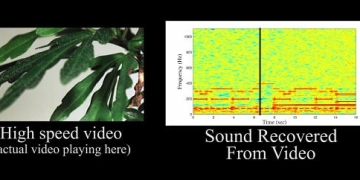 The Visual Microphone: Recovering Sound from Vibration in Objects