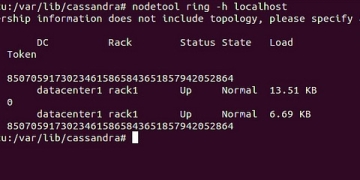 Instaclustr Gets m Boost in Seed Funding, Gains Foothold in the NoSQL Ecosystem