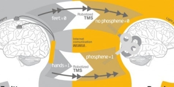 Brain-to-Brain Communication Achieved for the First Time in Human History