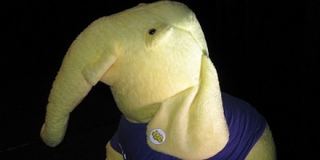 Waterline Rolls Out Offering to Make Hadoop “Broadly Consumable” While Bagging M in First Ever Funding