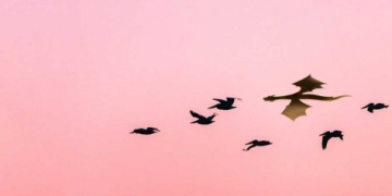 Augmented Reality Development Gets Fuel as Google Leads Investment of Record 2M in Secretive Magic Leap