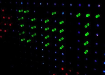 Discovering the Power of Dark Data