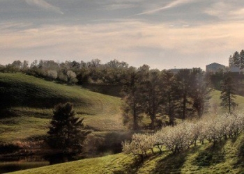 The Most Interesting Man in Data Science