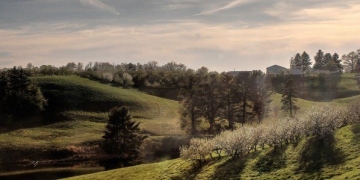 The Most Interesting Man in Data Science