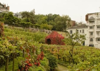 A Neural Network That Can Outsmart Wine Snobs at Their Own Game