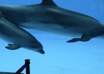 Bottlenose Scoops .4m to Help Businesses Keep Abreast of Real-Time Trends & Threats