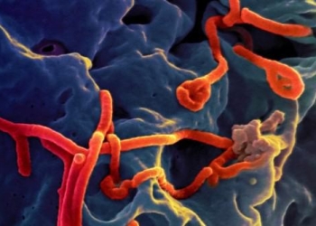 Some Things Aren’t Meant to Go Viral