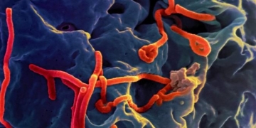 Some Things Aren’t Meant to Go Viral