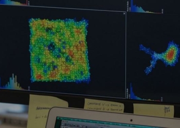 Ayadsi Grab m to Make Sense of Complex Datasets