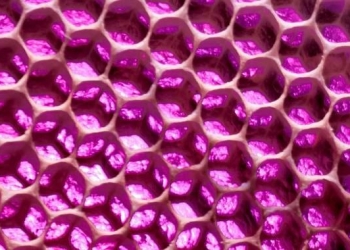 Presto versus Hive: What You Need to Know