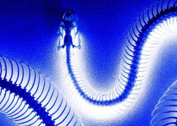 Processing Big Data Using 1.5KB