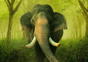 Hadoop’s Future Still Uncertain