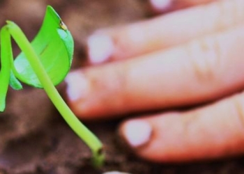 In Search of the “Potential” Data Scientist