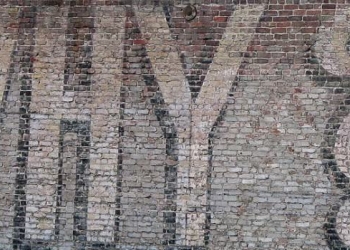 “Constantly Ask Why” – Interview with Data Scientist Vanessa Sabino