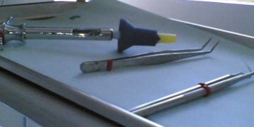 Like Bees to Honey: Millenials and the Future of FinTech