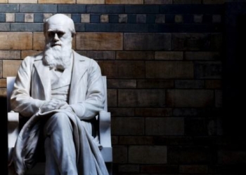 ‘More evolution rather than revolution’ – Interview with Nasir Zubairi, Venture Partner at FinLeap