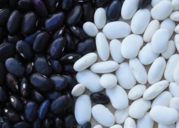 4 steps to help kickstart your data cleaning project