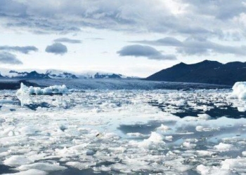 Big Data Plays Surprising Role In Fight Against Climate Change