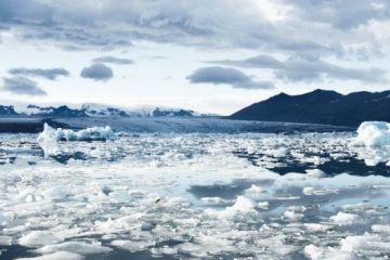 Big Data Plays Surprising Role In Fight Against Climate Change