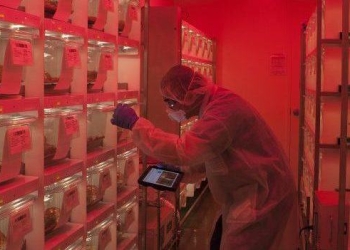 “The application of informatics will continue to grow with access to more data and technology, enhancing human health innovation…” – Interview with Vium’s Joe Betts-Lacroix