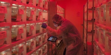 “The application of informatics will continue to grow with access to more data and technology, enhancing human health innovation…” – Interview with Vium’s Joe Betts-Lacroix