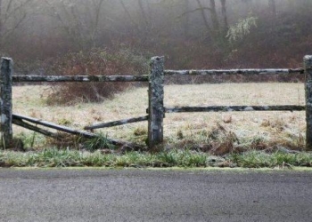 Are Consumers Accepting Data Breaches as the New Normal?