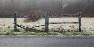 Are Consumers Accepting Data Breaches as the New Normal?