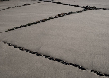 How Blockchains could transform Artificial Intelligence