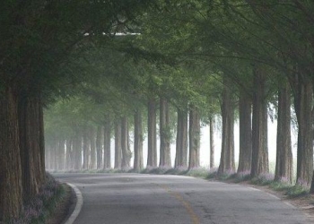 What is Metadata and why is it as important as the data itself?