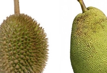 The Problem With (Statistical) False Friends