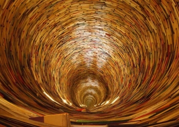 Preventing Fraud and Saving Costs with Machine Learning