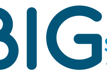 What makes organizations successful with data?