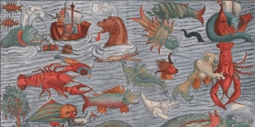 An Analyst’s Adventures in Data Wonderland